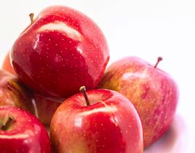 幹細胞エキス（アップルエキス）が抽出できる希少なリンゴ