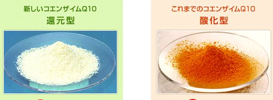 還元型と酸化型のコエンザイムQ10の比較