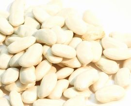 白インゲン豆