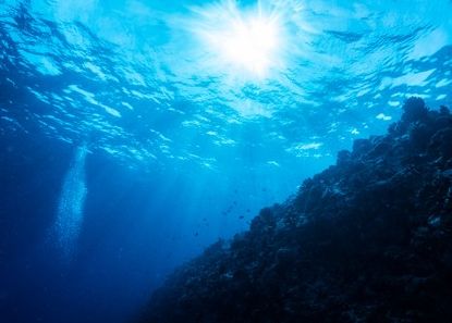バイオパップスが抽出できる海洋酵素が存在する海洋のイメージ