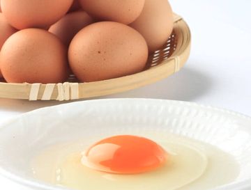 たんぱく質やレシチンが豊富な卵