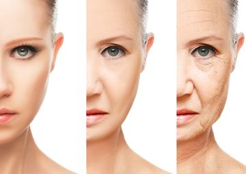 たるみやしわなどの肌老化の段階